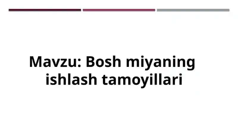 Bosh miyaning ishlash tamoyillari