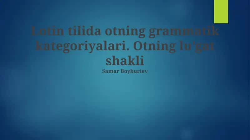Otning grammatik kategoriyalari 1
