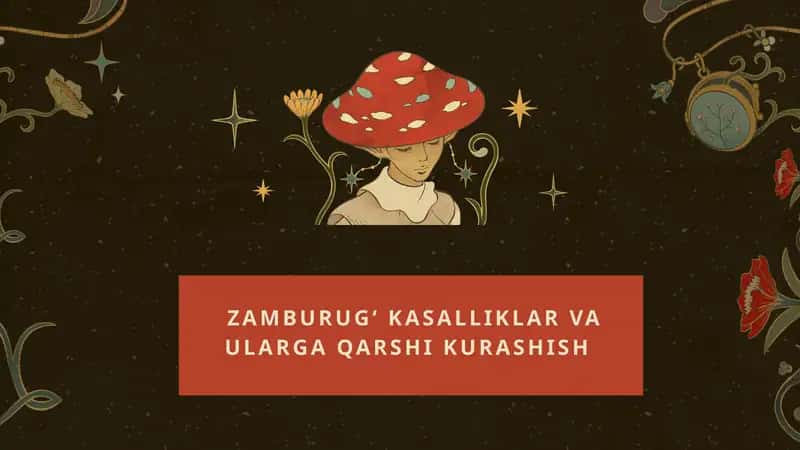 Zamburugʻ kasalliklar va ularga qarshi kurashish 1
