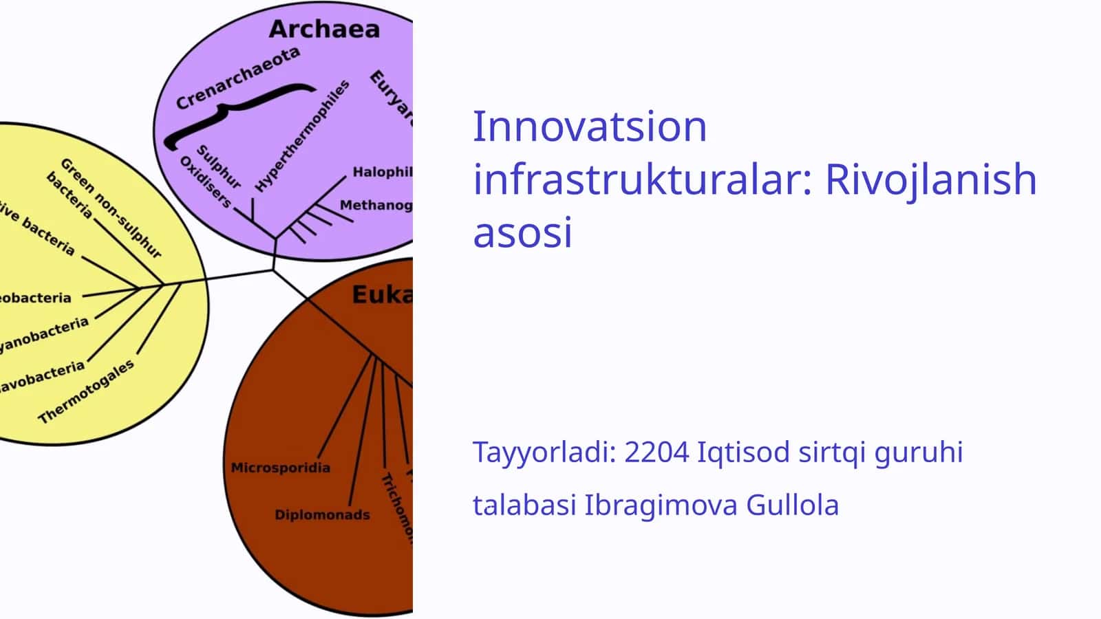 Innovatsion infrastrukturasi: Rivojlanish asosi 1