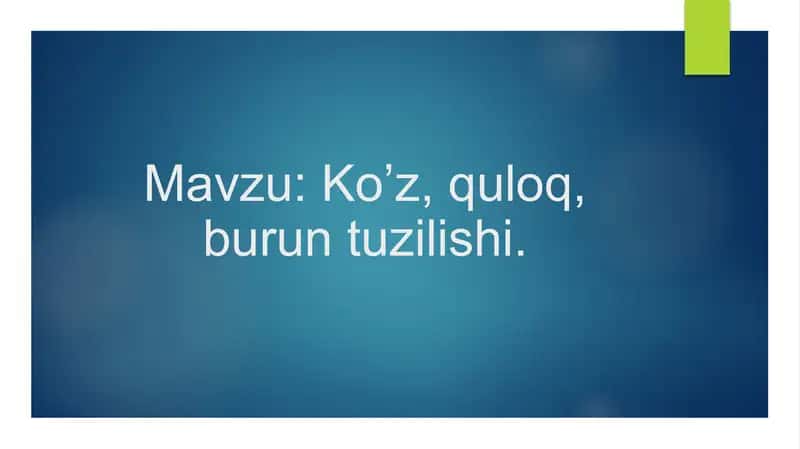 Ko’z, quloq, burun tuzilishi. 1