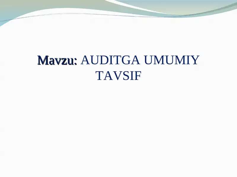 AUDITGA UMUMIY TAVSIF 1
