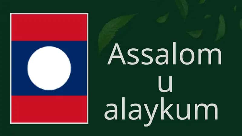Laos Davlati Iqtisodiyoti 1