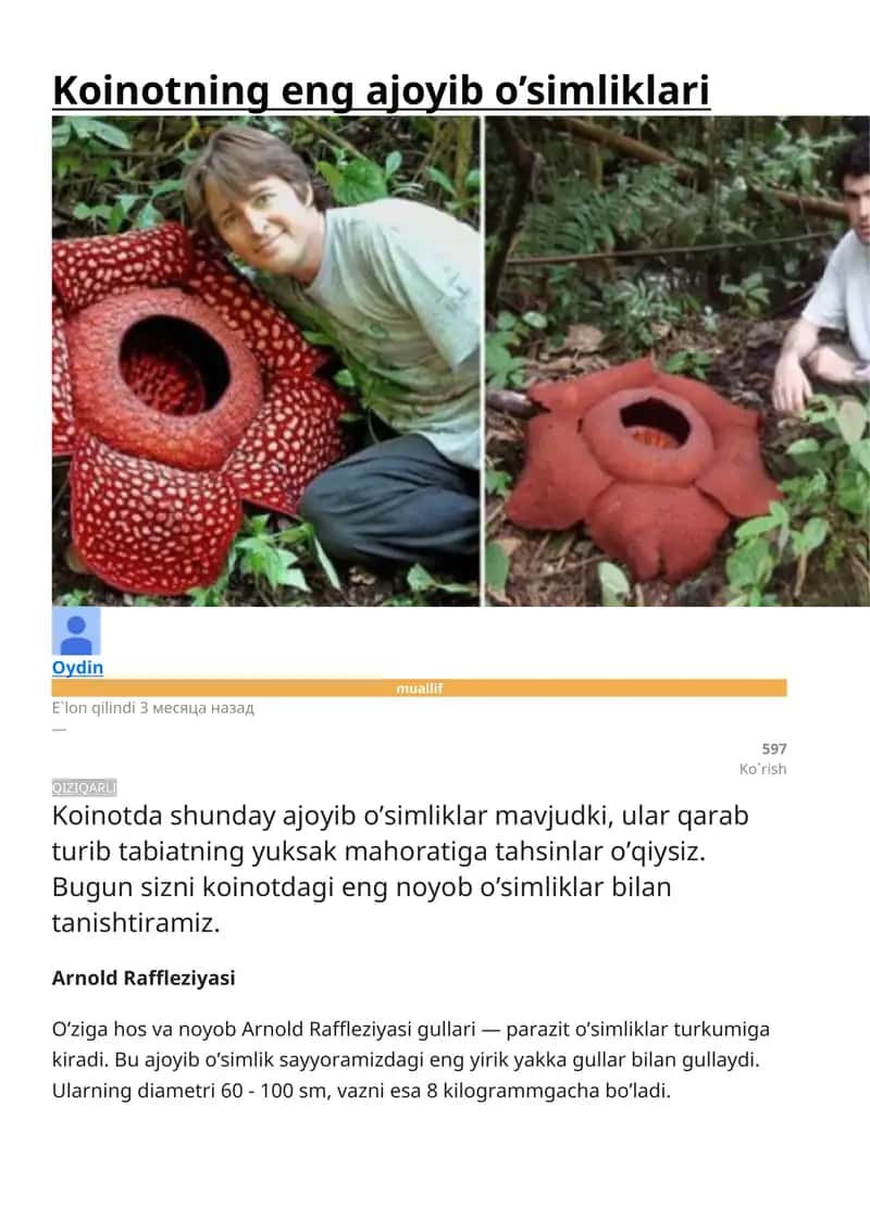 Arnold Raffleziyasi 1