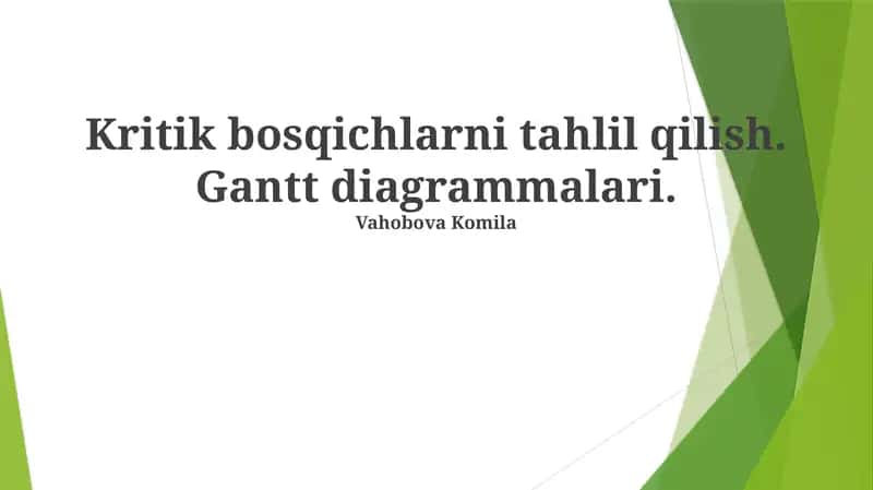 Gantt Diagrammalari 1