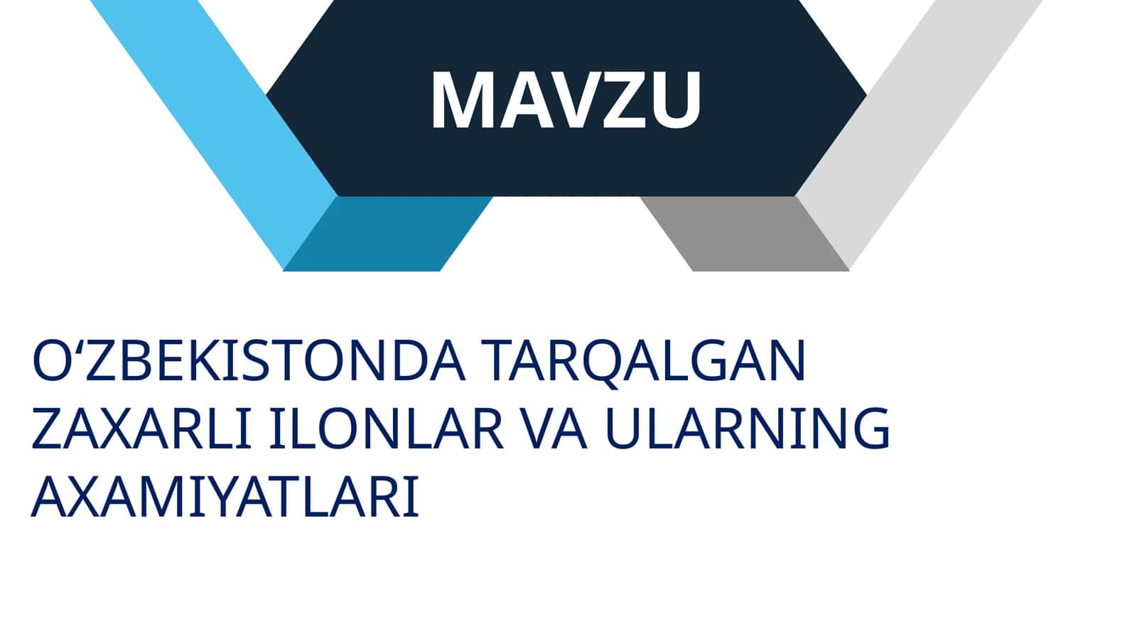 OʻZBEKISTONDA TARQALGAN ZAXARLI ILONLAR VA ULARNING AXAMIYATLARI 1
