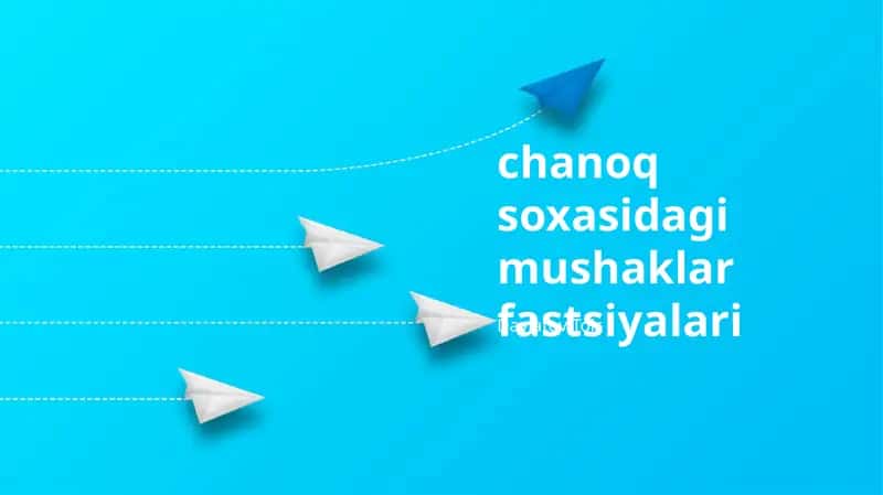 Chanoq Soxasidagi Fasialarning Umumiy Tavifi 1