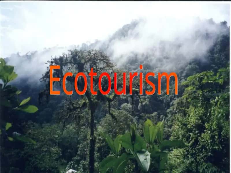 Ecotourism 1