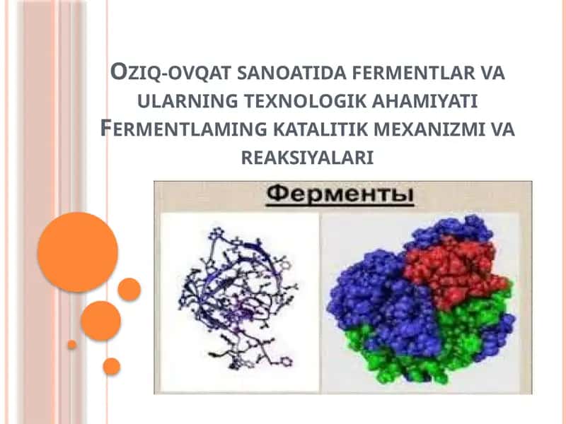 Fermentlar va ularning texnologik ahamiyati 1