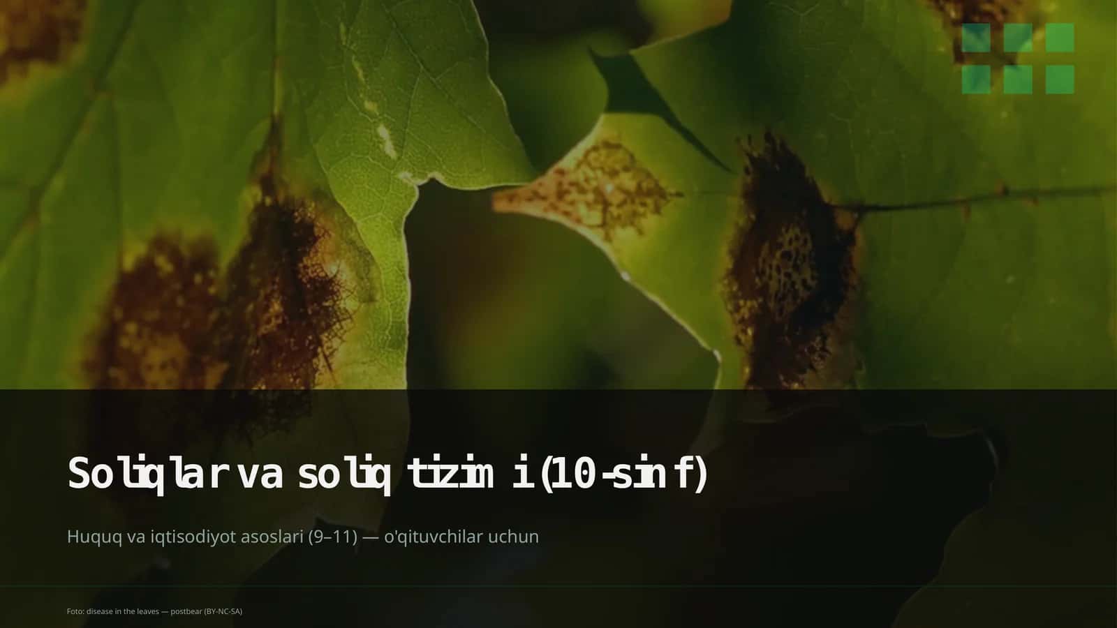 Soliqlar va soliq tizimi (10-sinf) 1