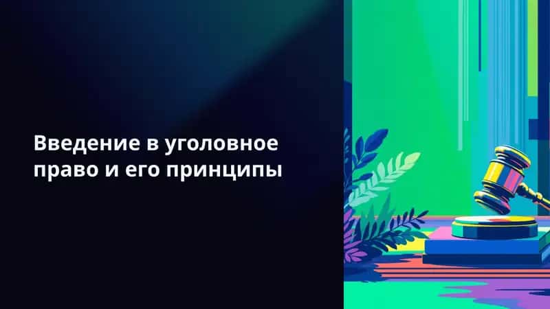 Введение и принципы уголовного право 1