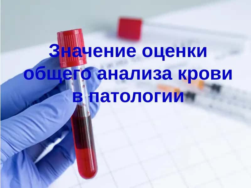 Норма анализа крови 1