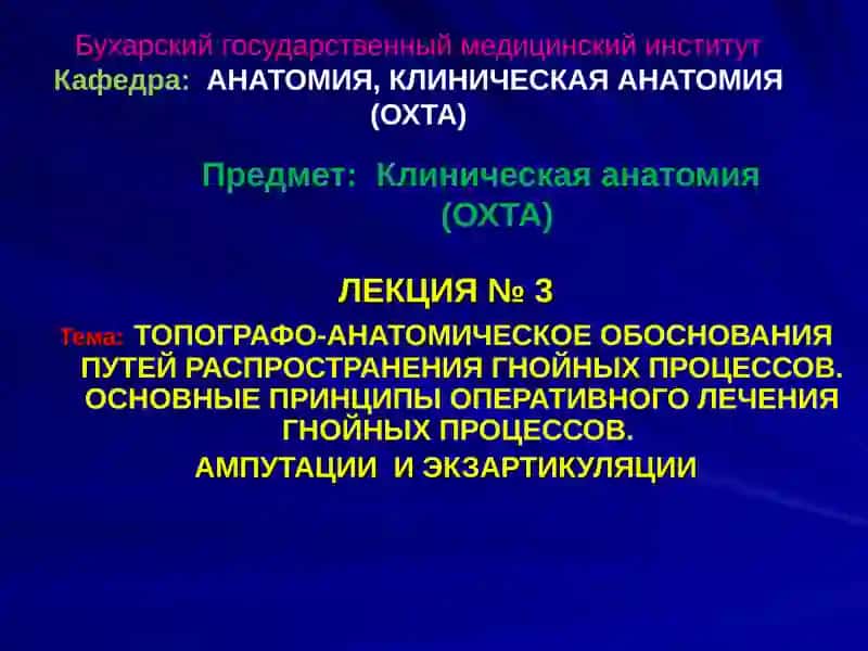 Клиническая анатомия (ОХТА)