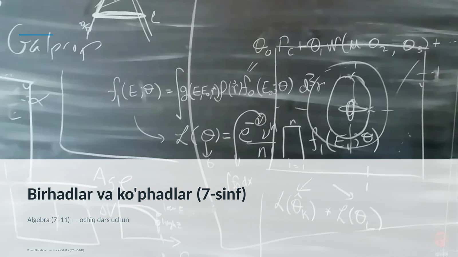 Birhadlar va ko'phadlar (7-sinf) 1