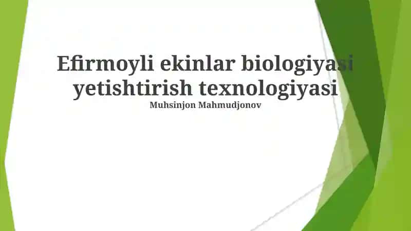 Efirmoyli ekinlar biologiyasi yetishtirish texnologiyasi