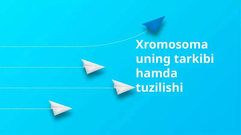Xromosoma uning tarkibi hamda tuzilishi 1