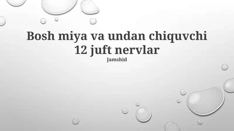 Bosh miya va undan chiquvchi 12 juft nervlar 1