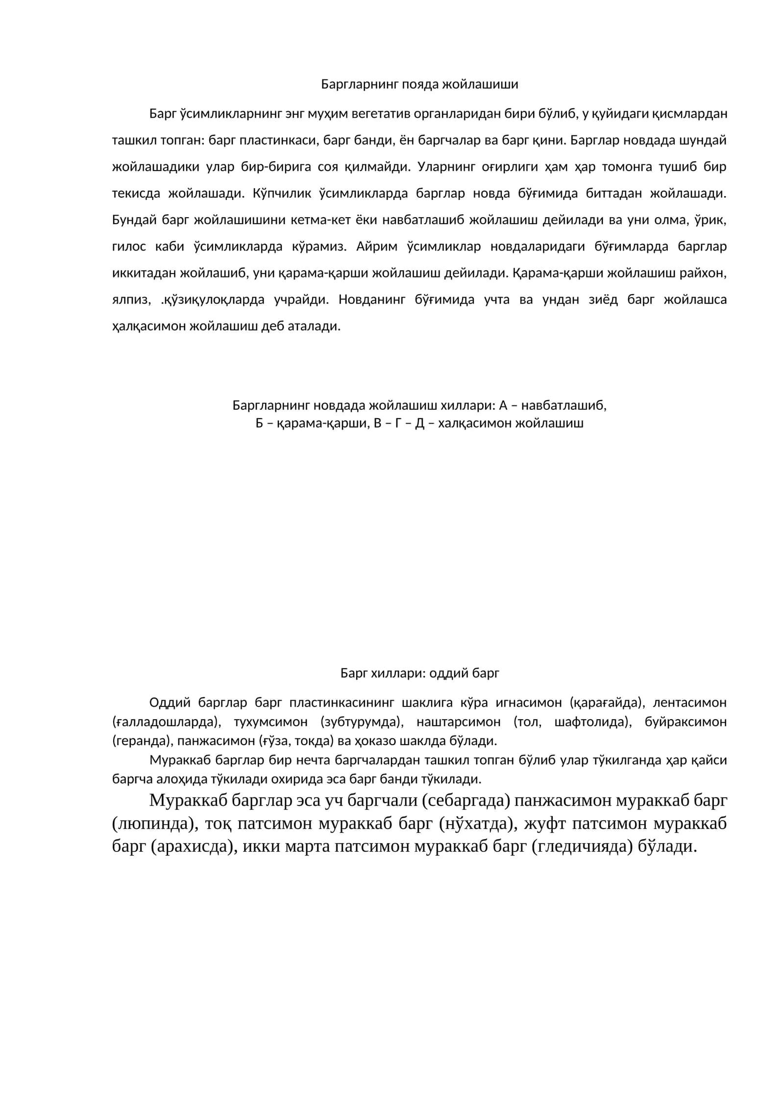 Баргларнинг пояда жойлашиши 1