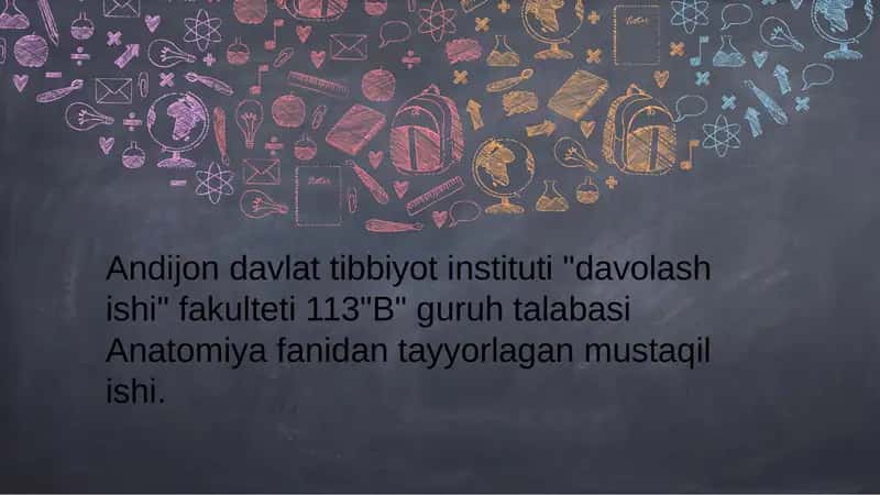 Ko'krak mushaklari 1