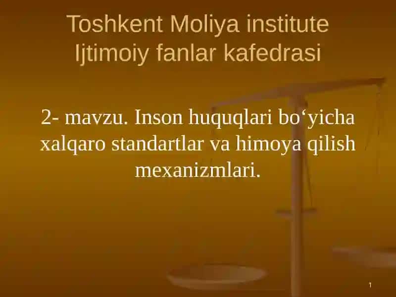 Inson huquqlari bo‘yicha xalqaro standartlar va himoya qilish mexanizmlari