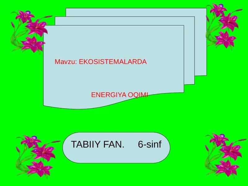 EKOSISTEMALARDA ENERGIYA OQIMI 1
