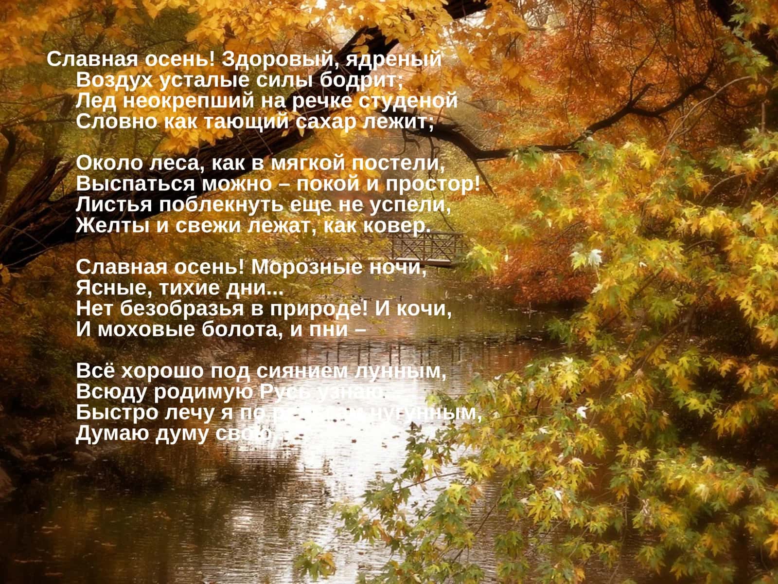 Осень 1