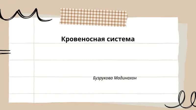 Кровеносная система 1