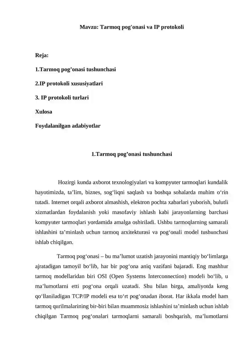Tarmoq pog'onasi va IP protokoli