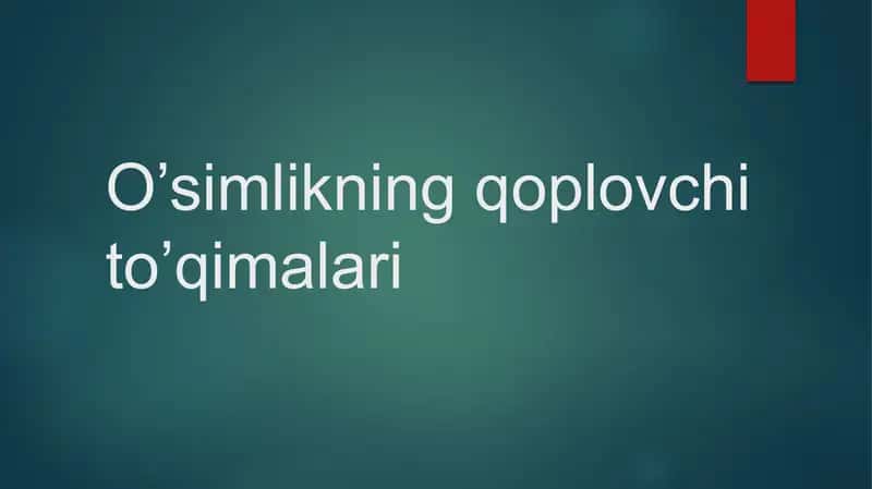 Qoplovchi toʻqima 1