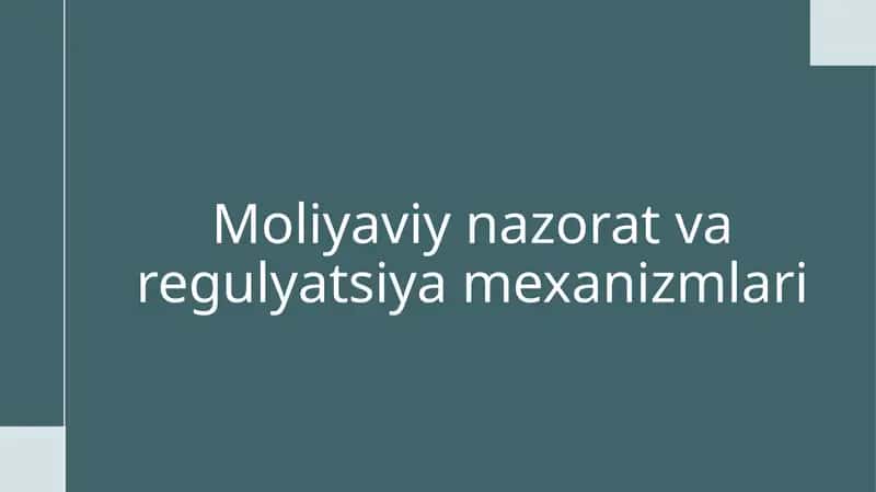 Moliyaviy nazorat va regulyatsiya mexanizmlari 1