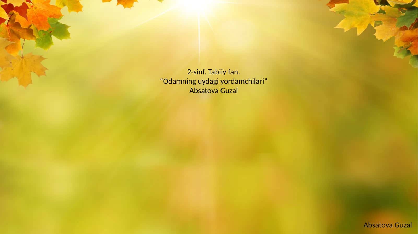 Odamning uydagi yordamchilari 1