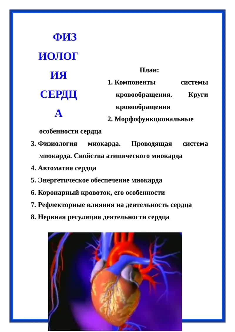 Физиология сердца 1
