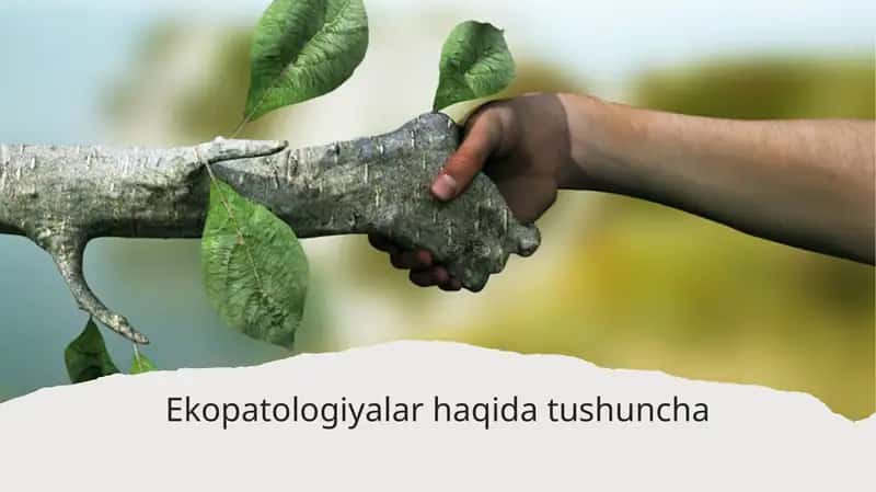 Ekopatologiyalar haqida tushuncha 1