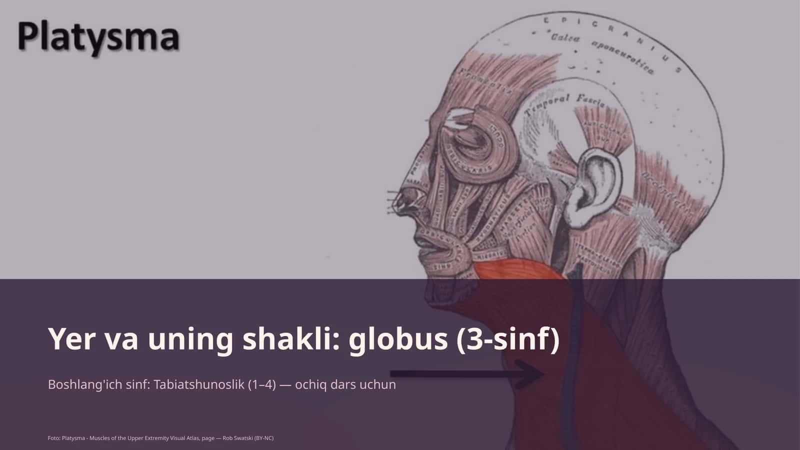 Yer va uning shakli: globus (3-sinf) 1