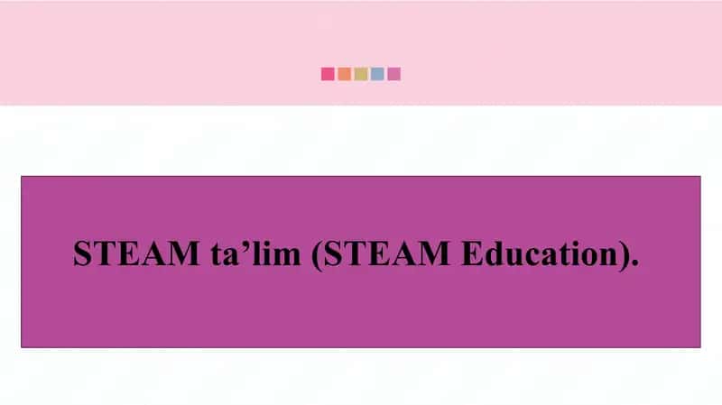 STEAM Ta'lim 1