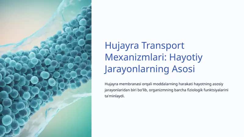 Hujayra Transport Mexanizmlari 1