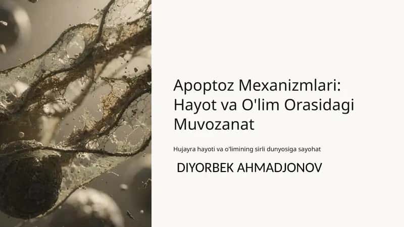 Apoptoz Mexanizmlari: Hayot va O'lim Orasidagi Muvozanat 1