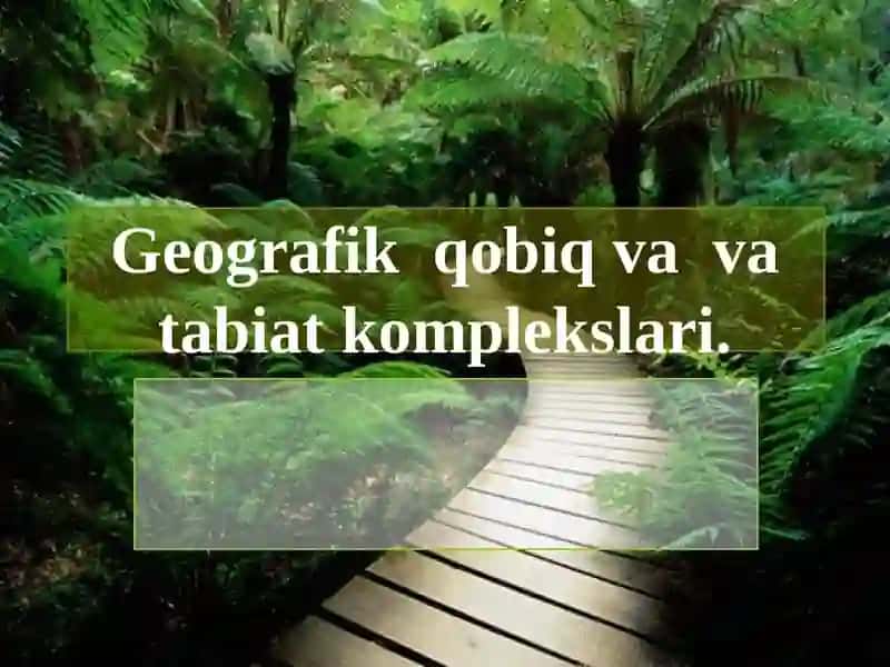 Geografik qobiq va tabiat komplekslari