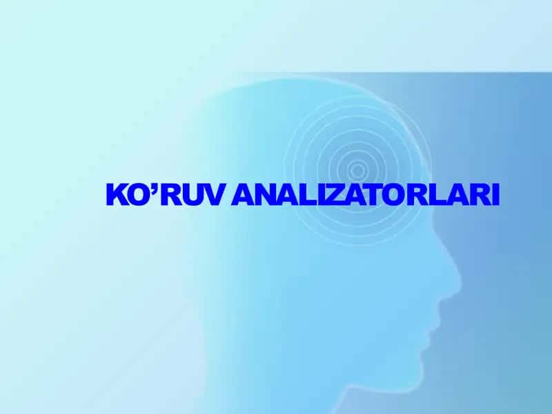 Ko‘ruv analizatorlari 1