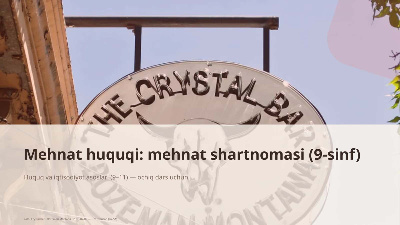 Mehnat huquqi: mehnat shartnomasi (9-sinf) 1