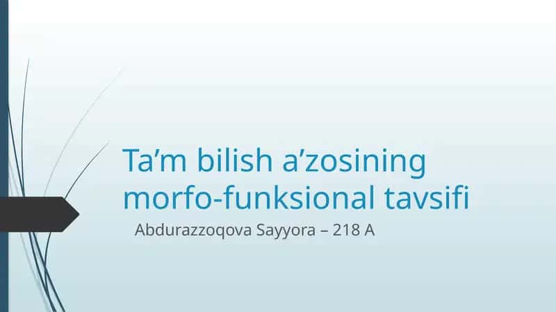 Ta’mbilisha’zosining morfo-funksional tavsifi 1