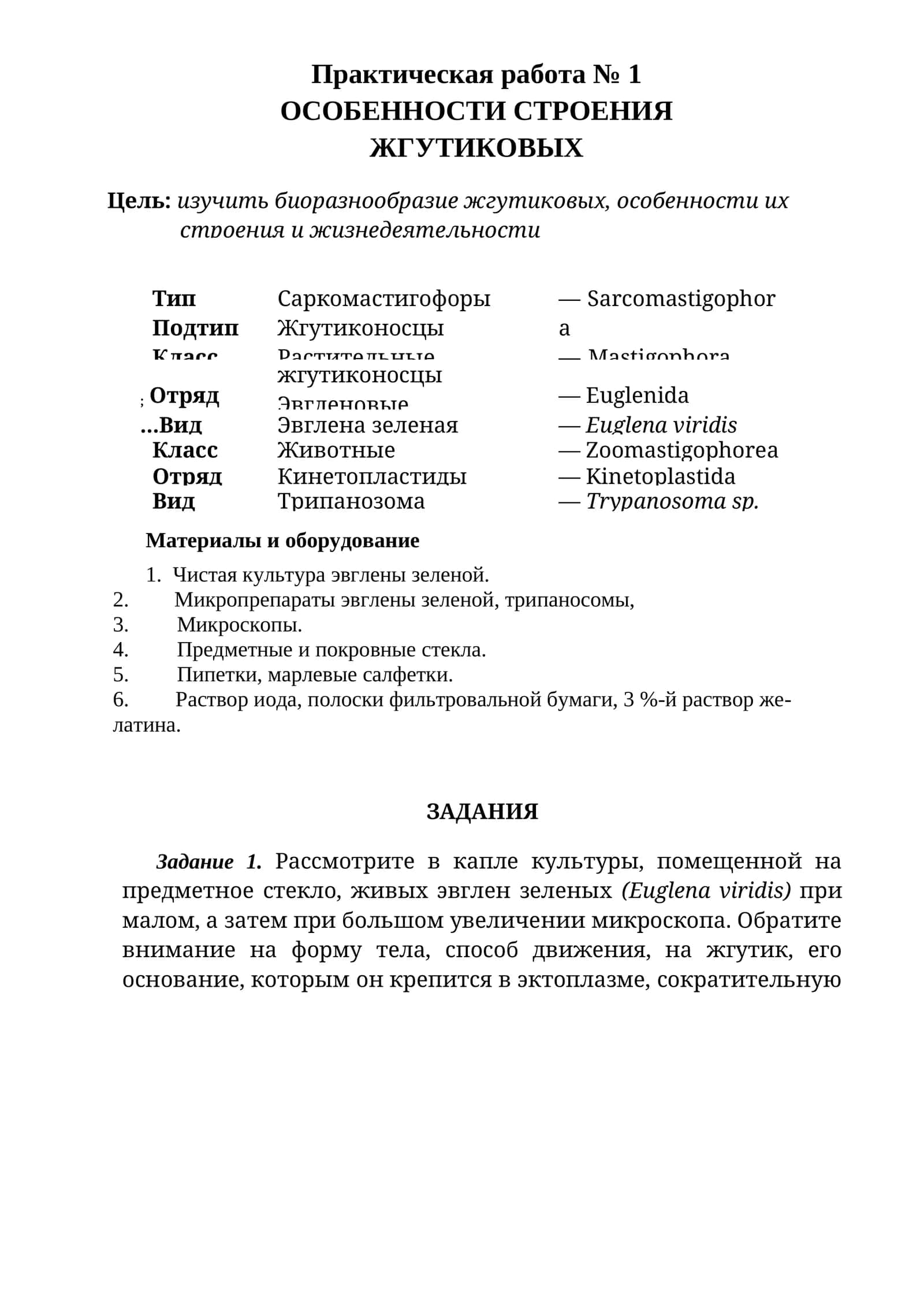 ОСОБЕННОСТИ СТРОЕНИЯ ЖГУТИКОВЫХ 1
