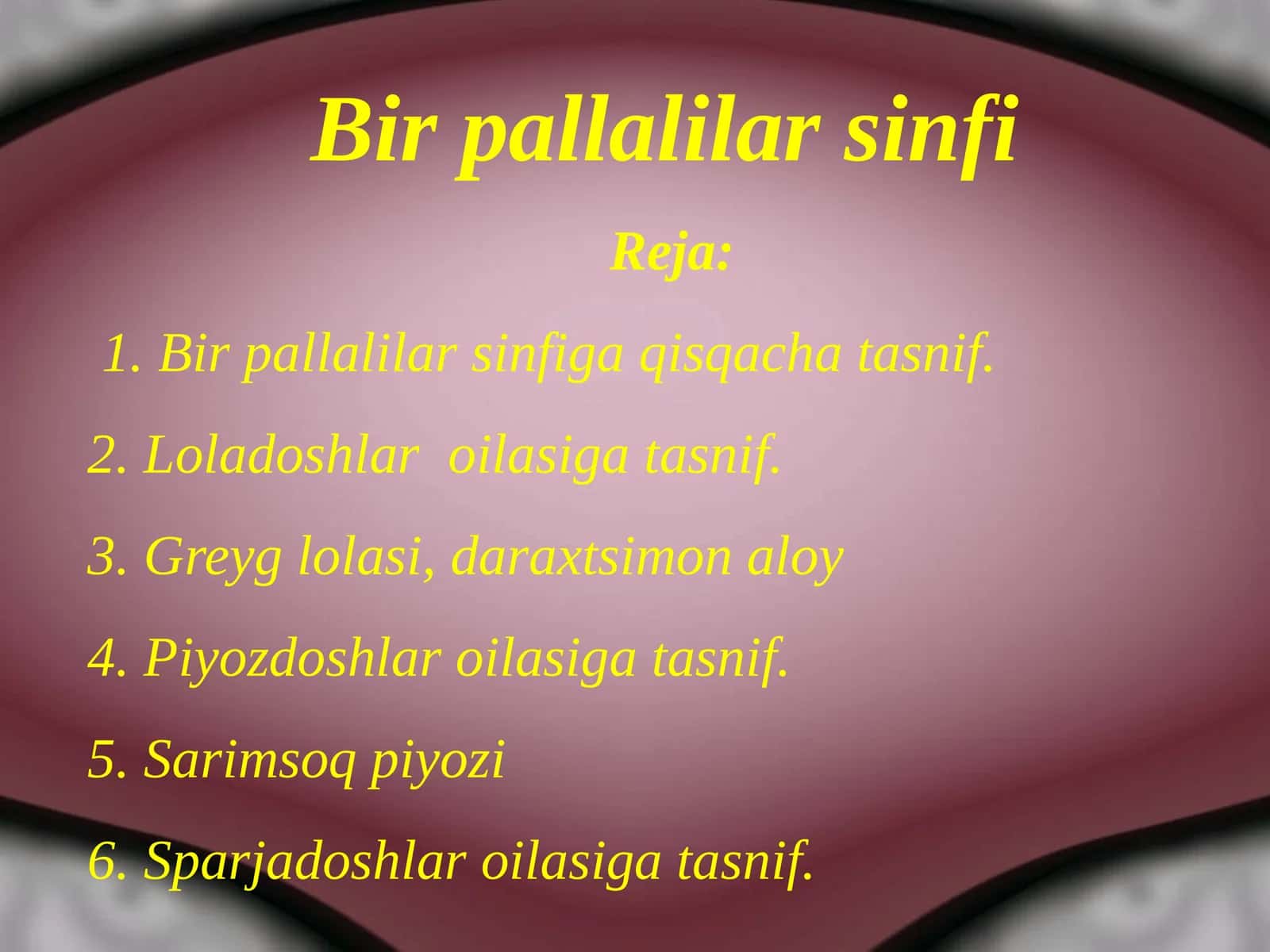 Bir pallalilar sinfi 1
