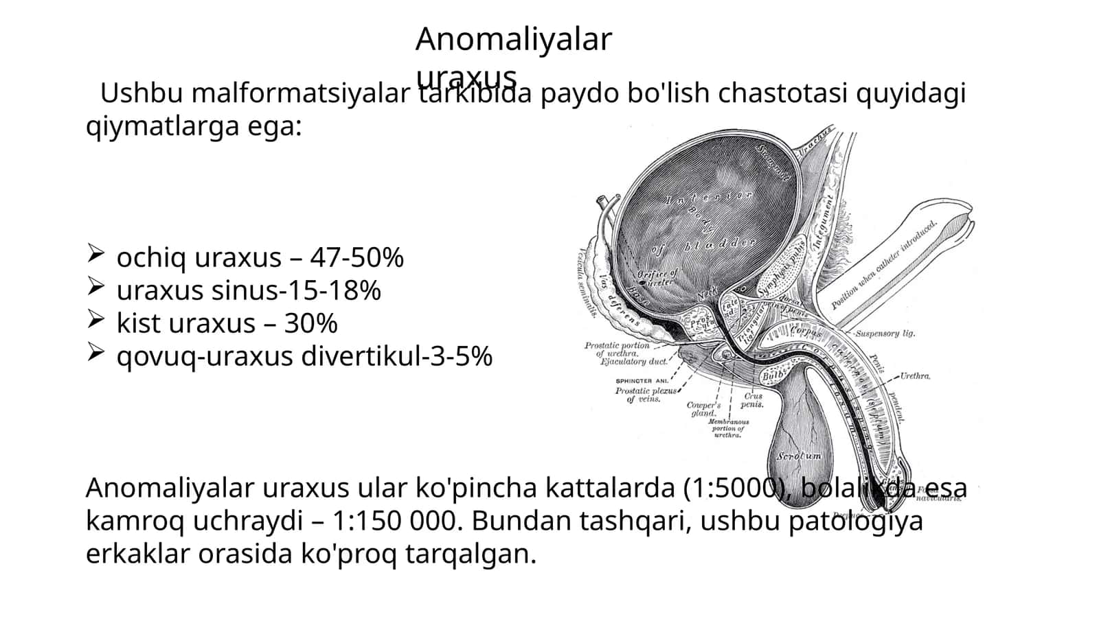 Anomaliyalar uraxus 1