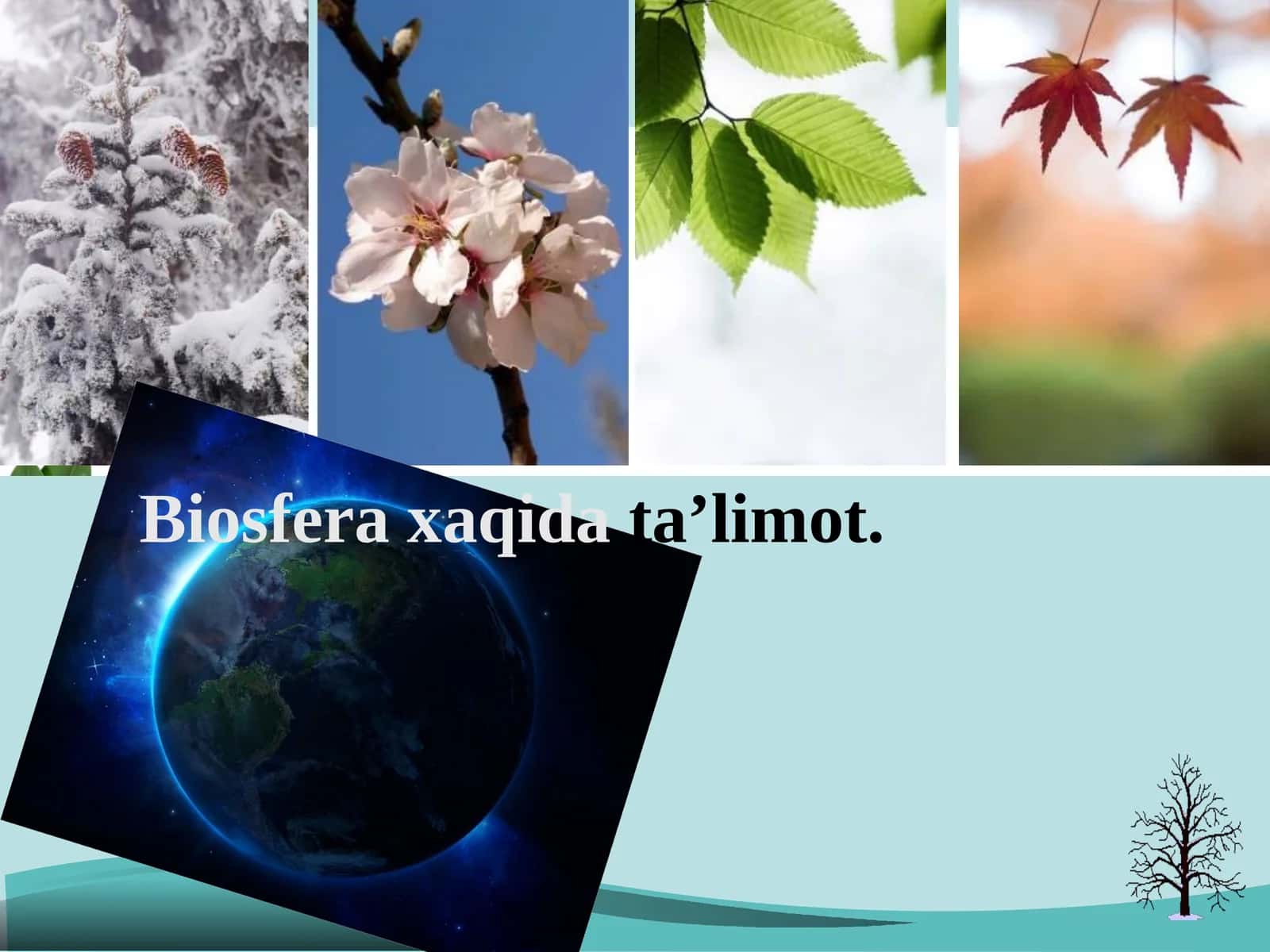 Biosfera xaqida ta’limot 1