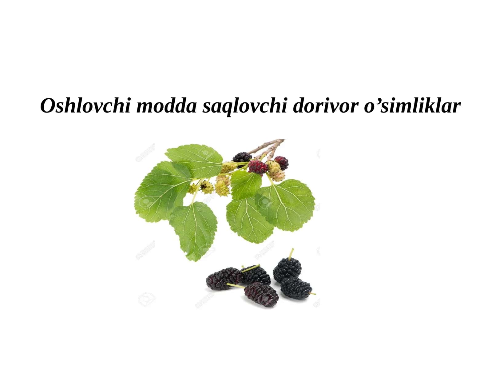 Oshlovchimoddasaqlovchidorivoro’simliklar 1