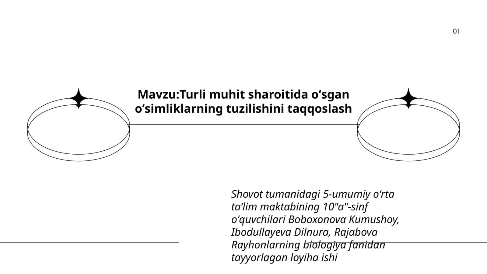 Tayyorlagan loyiha ishi 1