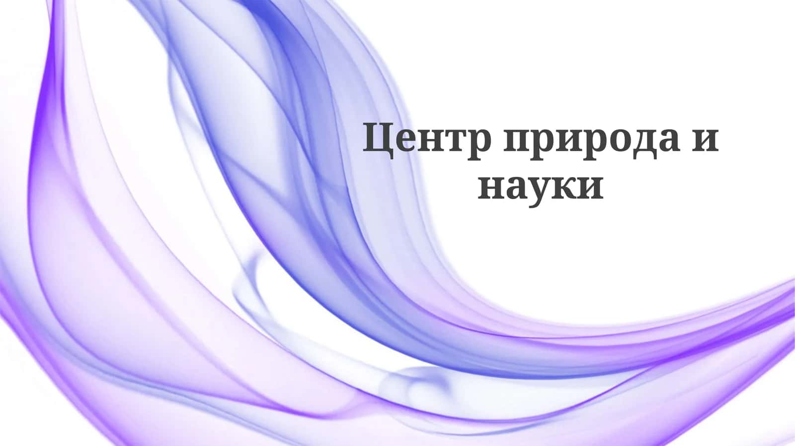 Выставки и программы 1