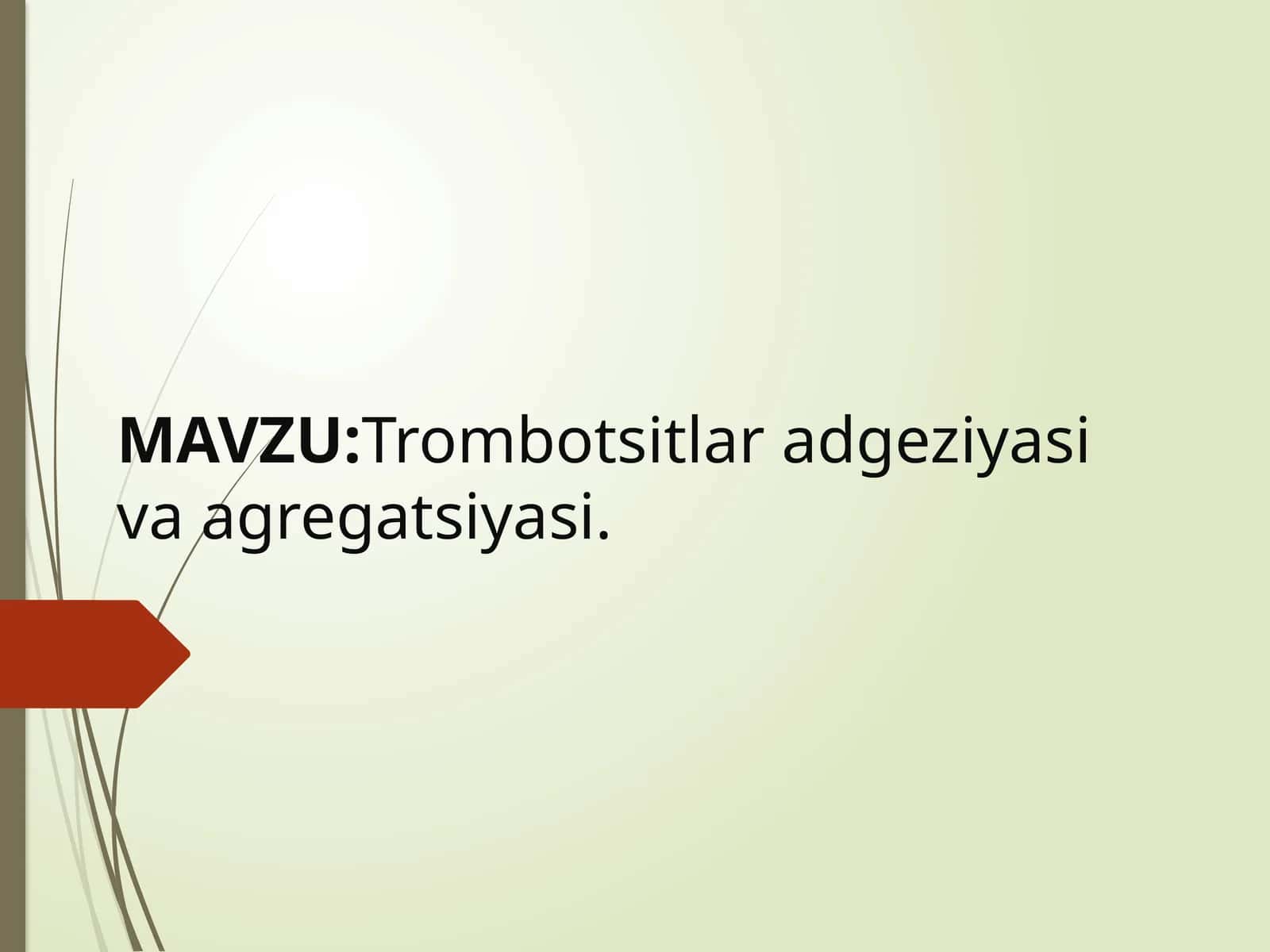Trombotsitlar adgeziyasi va agregatsiyasi 1