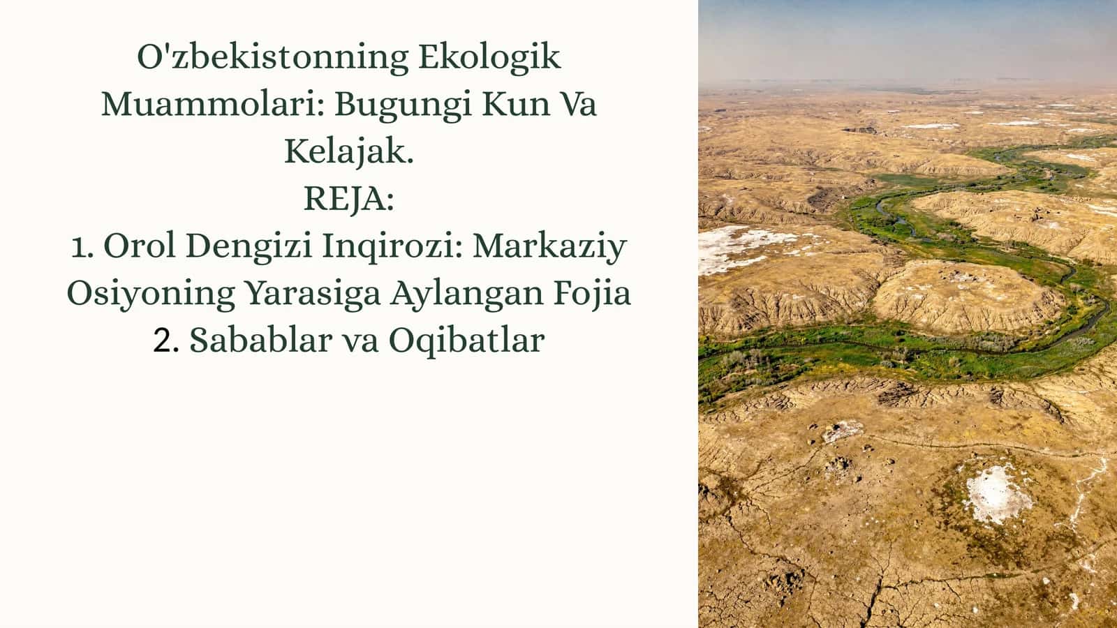 O'zbekistonning Ekologik Muammolari: Bugungi Kun Va Kelajak 1